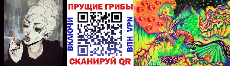 наркотики  Знаменск  Галлюциногенные грибы Magic Shrooms 