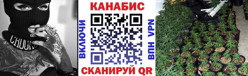 Каннабис семена  мориарти состав  Знаменск  купить  цена 